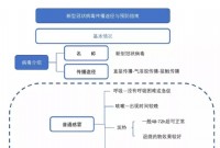 一图读懂新型冠状病毒传播途径与预防指南