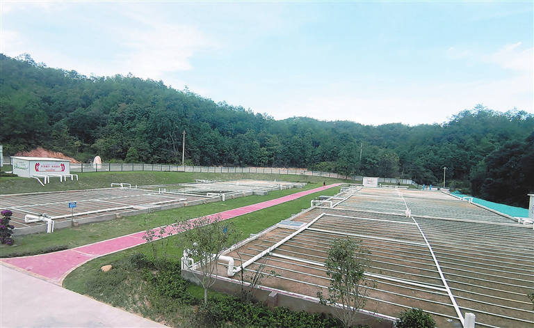 守护赣江源头 赣州系统性治理稀土矿区小流域