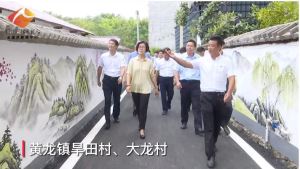 吴忠琼：高标准打造美丽中国赣州样板
