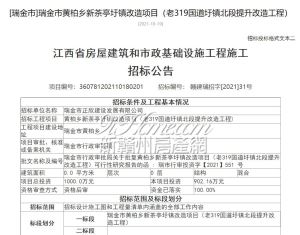 项目总投资约902万元！瑞金市黄柏乡新茶亭圩镇改造项目招标！