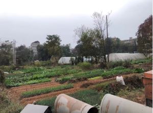 瑞金市1宗商住用地挂牌出让，起始总价约3600万元