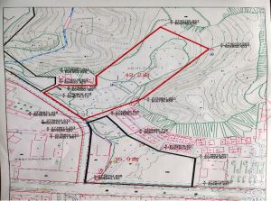 定南县1宗商住用地挂牌出让，起始总价约4698万元