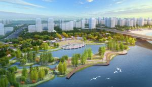 最新进展！赣州章江两岸绿化工程建设实拍图来了！