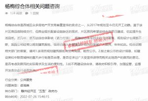 杨梅商业综合体项目目前正在进行规划建筑方案报批阶段！