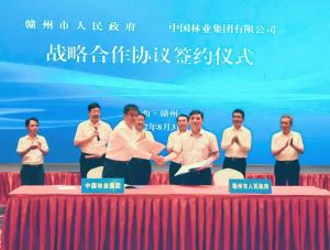 赣州市与中国林业集团签署战略合作协议