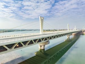 祝贺！蟠龙大桥项目荣获“中国钢结构金奖”！