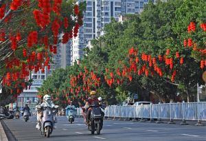 扮靓虔城迎“双节”！