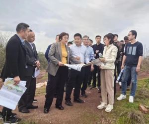 钟春莲现场调度三江口片区重点项目规划和要素保障工作