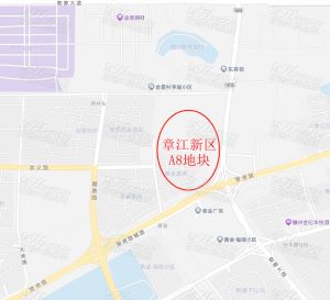 关于章江新区A8地块酒店（9#楼）公开招租的招标公告