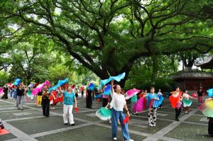 满目葱郁夏意浓 市民乐享“绿色福利”