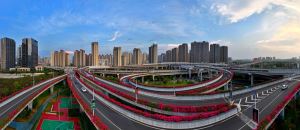 赣州“空中花廊”迎节绽放