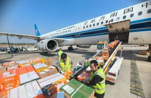 赣州打通脐橙外销快车道